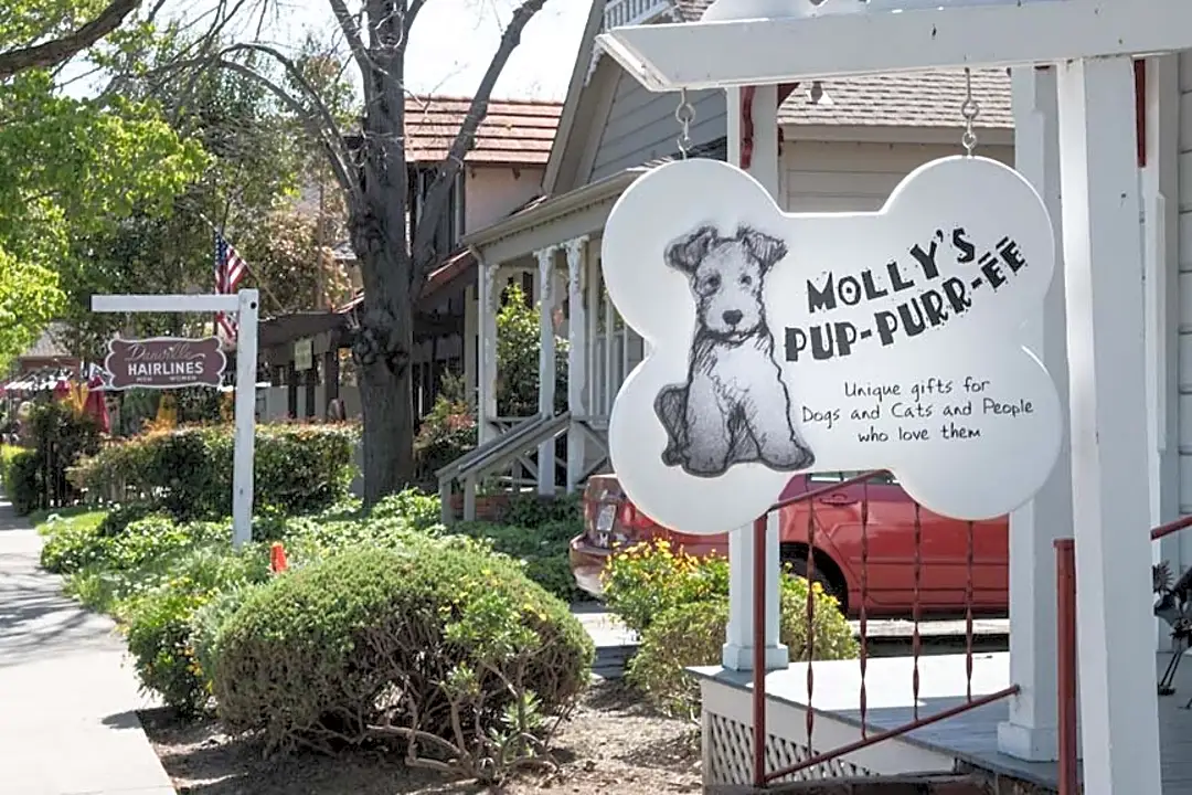 Welcome to Molly's Pup-Purr-ee