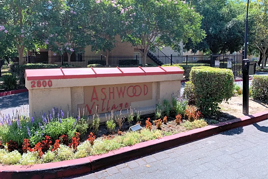 In The Wild: The Ashwood 