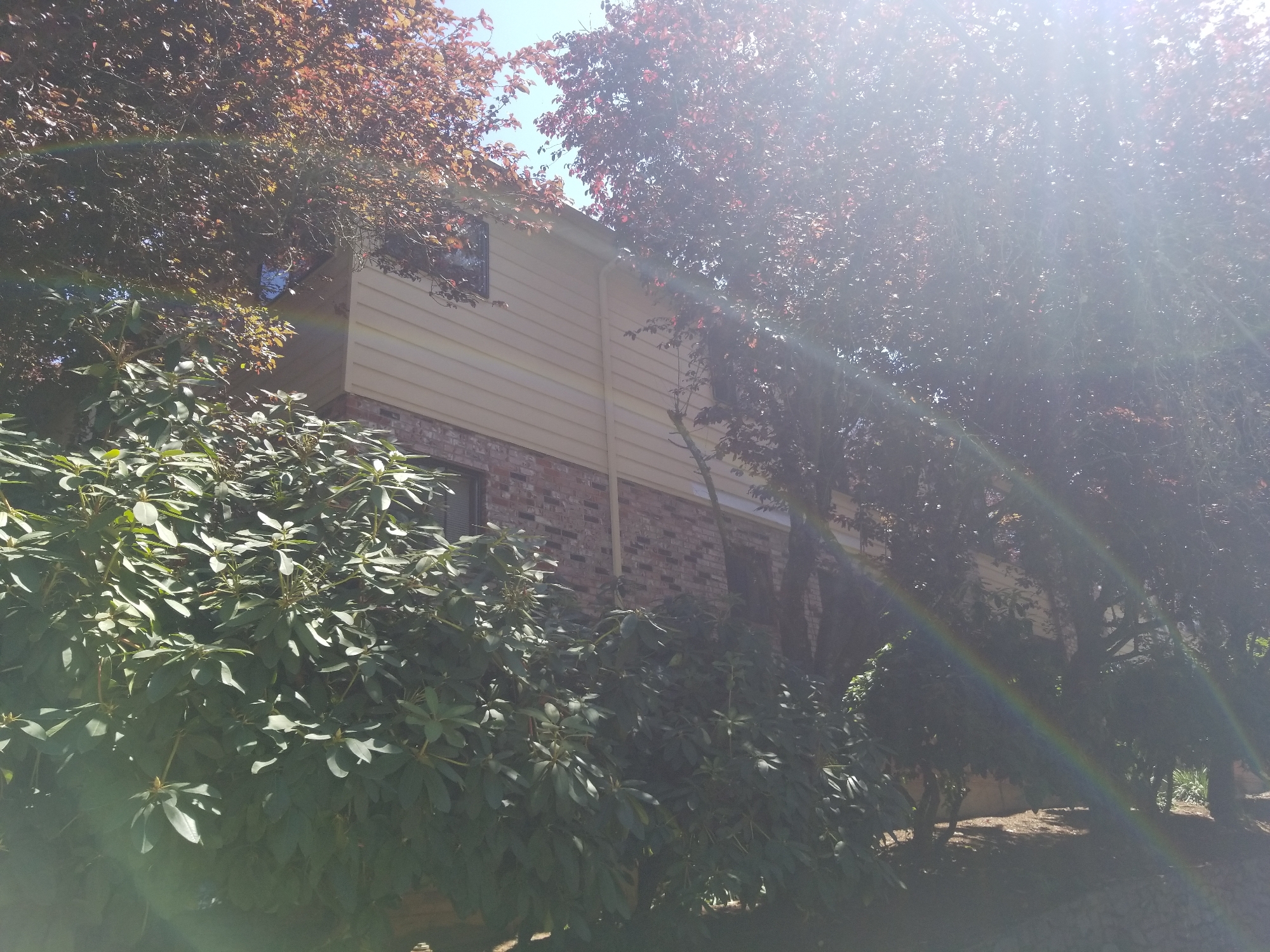 Apartments for rent at Laurel Park East in Buckman