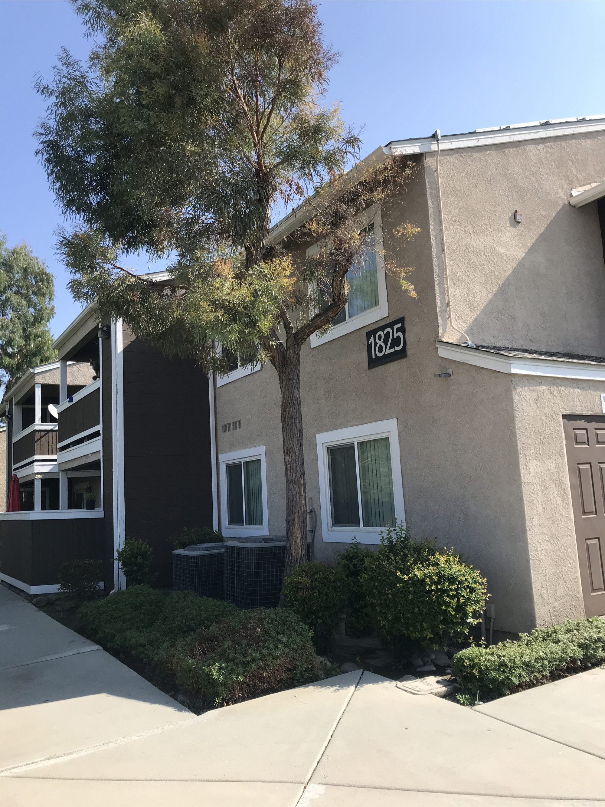 Apartments for rent at Terracina Apartments in California