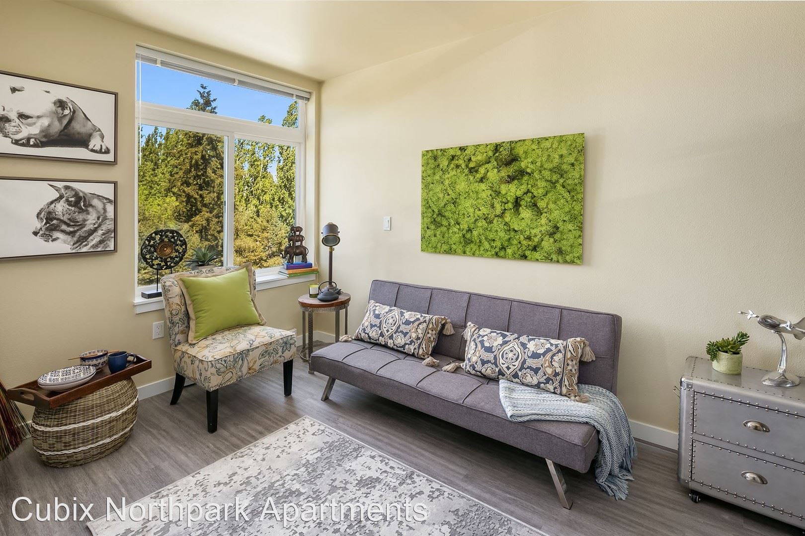 Apartments for rent at Cubix North Park in Bitter Lake