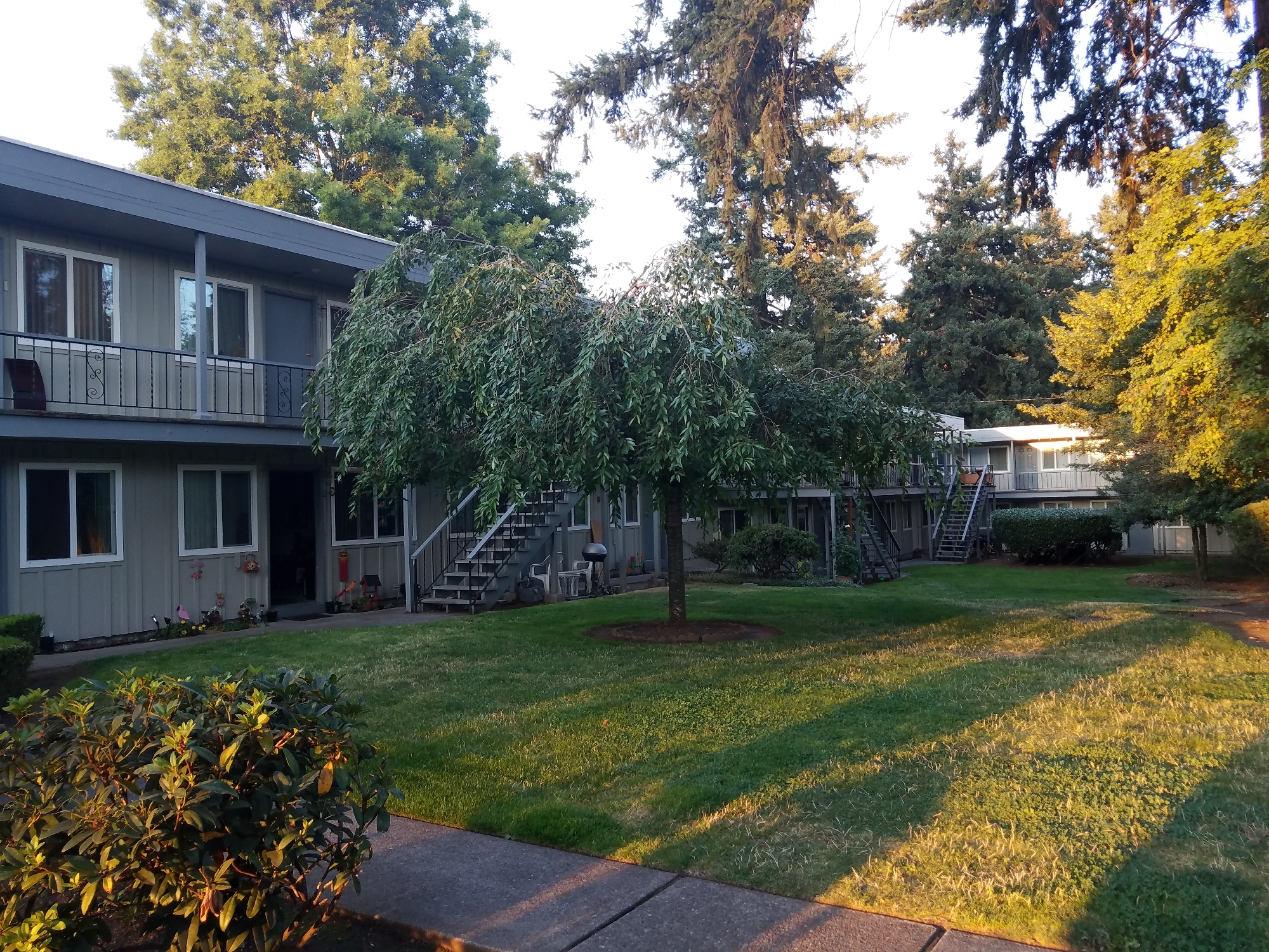 Apartments for rent at Misty Firs Apartments in East Portland