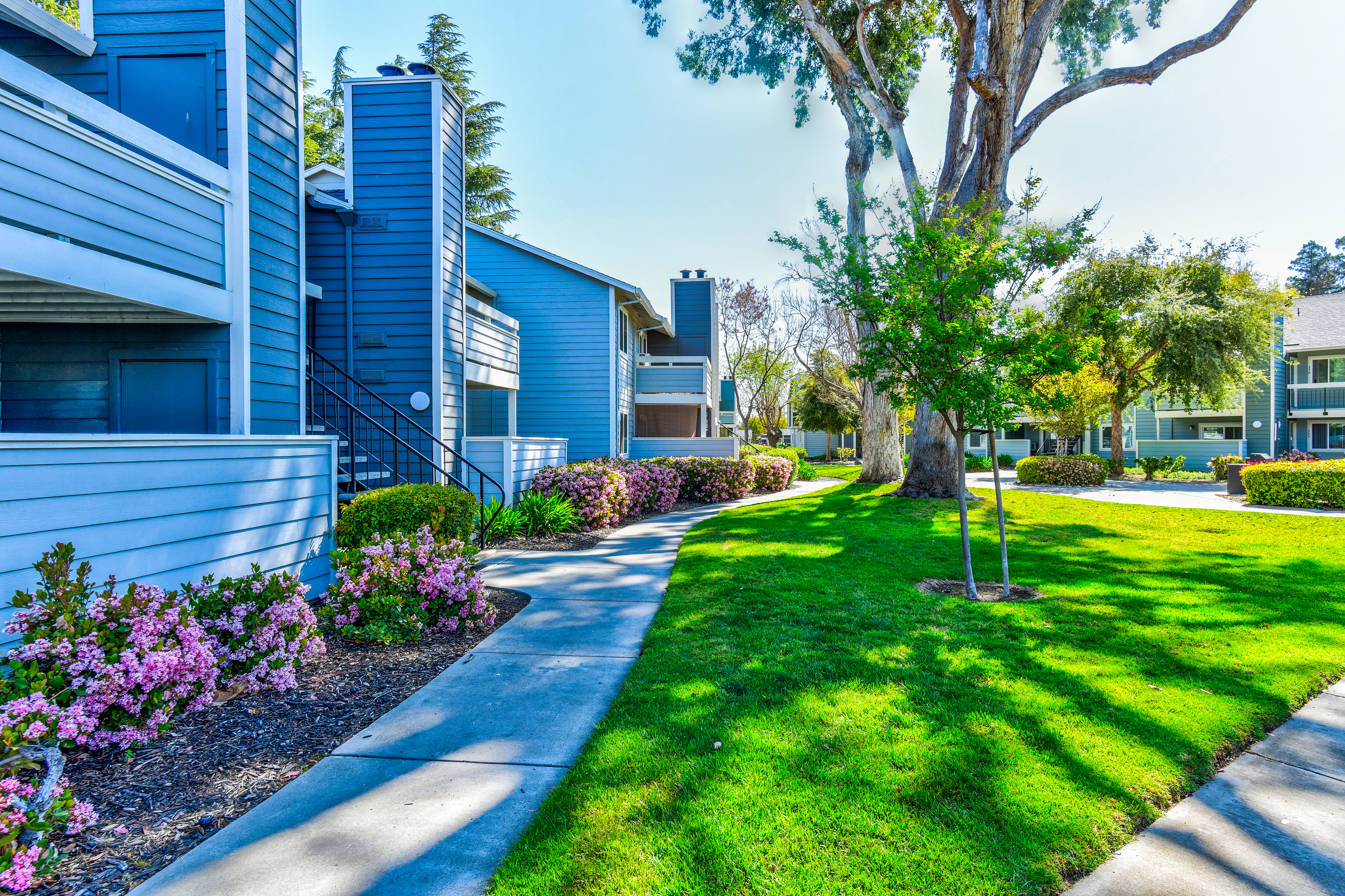 Apartments for rent at Cedar Glen Apartments in Willow Glen