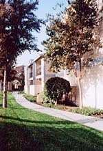 Apartments for rent at Jasmine Springs in Central Corona