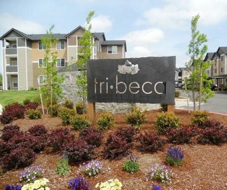 Apartments for rent at Tribeca in Chambers Lake Basin