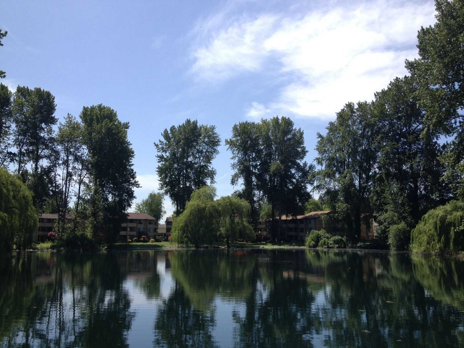 Apartments for rent at Hidden Lake Apartments in Lakeview