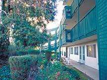 Apartments for rent at Carmel Pines in Downtown Walnut Creek