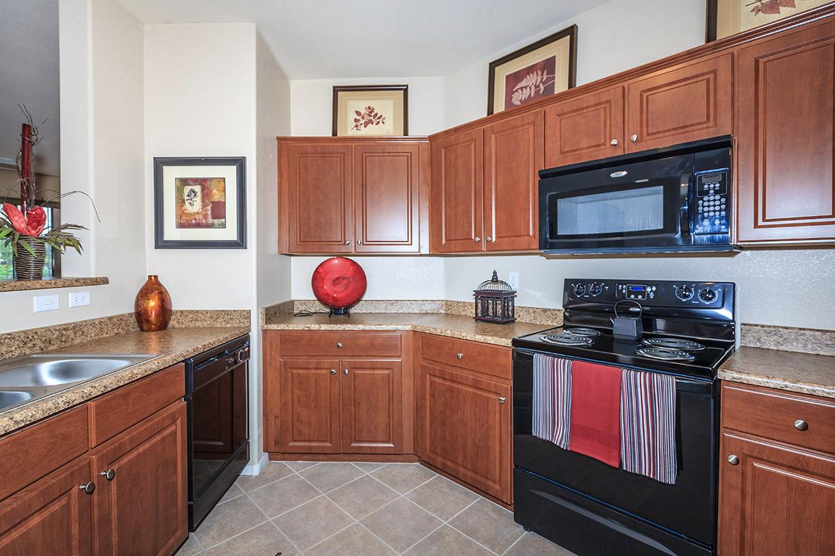 Apartments for rent at The Palladium in Whitney Ranch