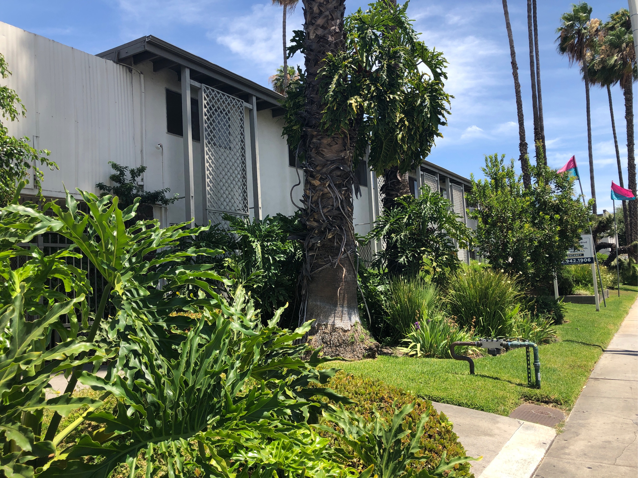 Apartments for rent at Luau Manor in 