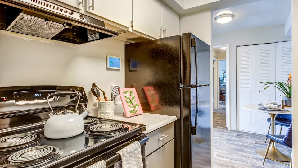 Apartments for rent at ReNew Canyon Ridge Apartments in Taylor