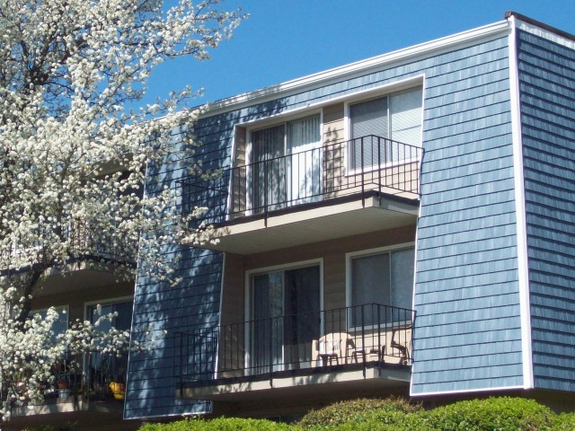 Apartments for rent at Tara Hills in 