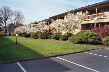 Apartments for rent at Chestnut Place in Lake Road