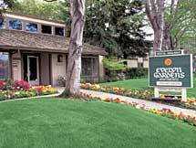Apartments for rent at Evelyn Gardens in Ponderosa