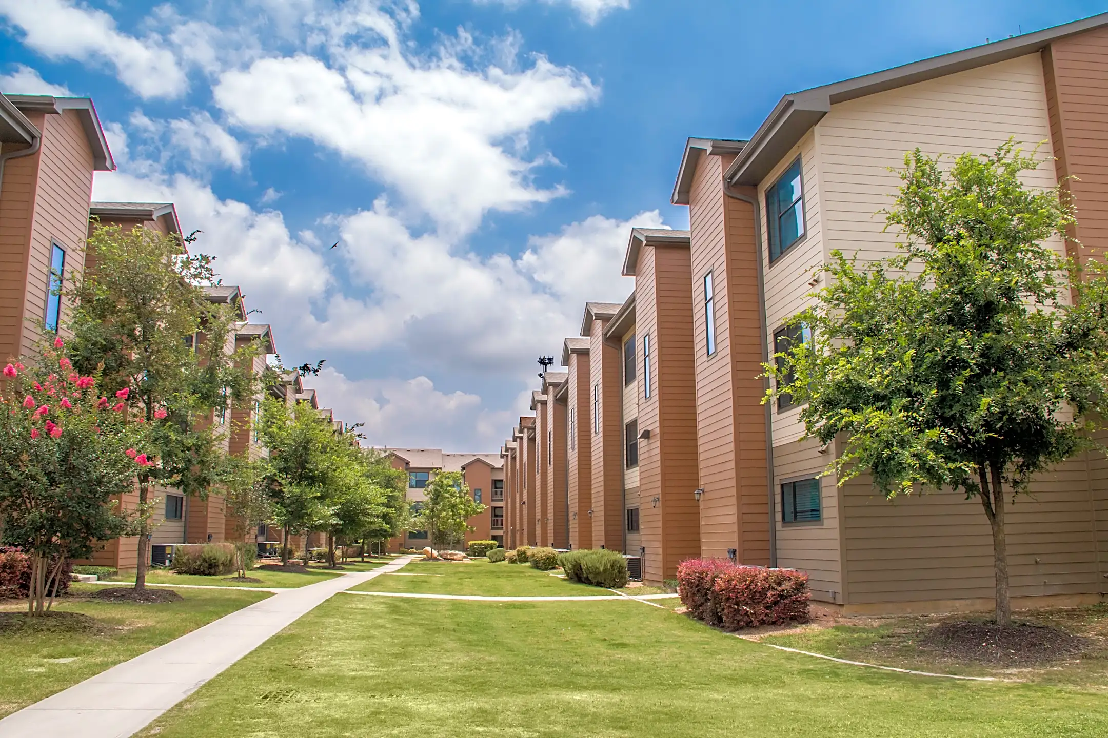 Villas at Babcock-Per Bed Lease - San Antonio, TX 78249