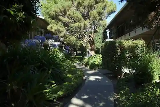 Sedona Lane - Campbell, CA - Photo 12