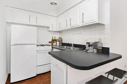 2630 North Hampden - Chicago, IL - Photo 1