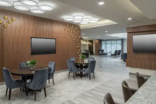 Alexan Lower Greenville - Dallas, TX - Photo 41