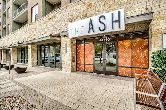 Ash at the Branch - Dallas, TX - Photo 38