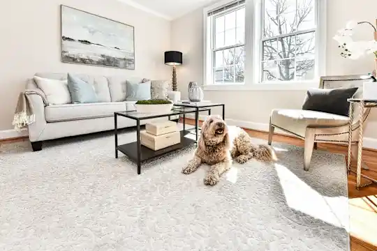 Manor House Apartments - Alexandria, VA - Photo 1