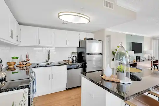Houston House - Houston, TX - Photo 1