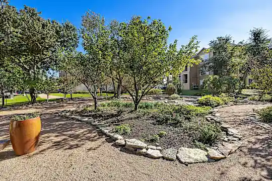 Sonterra Apartment Homes - Austin, TX - Photo 42