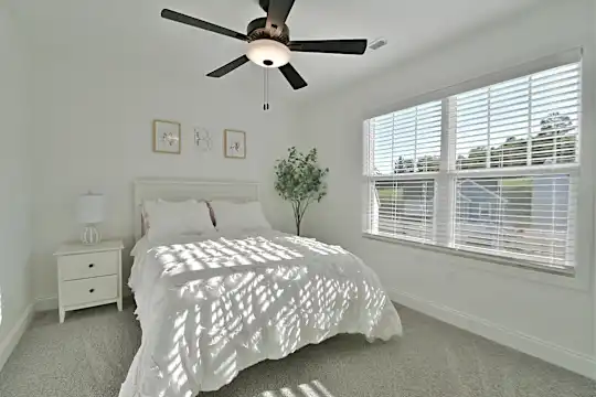 Amber Vista - Knoxville, TN - Photo 18