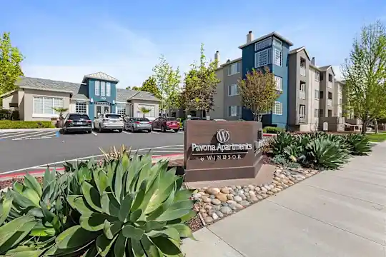 Pavona Apartments - San Jose, CA - Photo 10