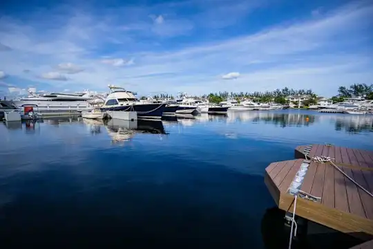 Falls At Marina Bay - Fort Lauderdale, FL - Photo 29
