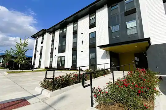 Studio Arms Apartments - New Orleans, LA - Photo 8