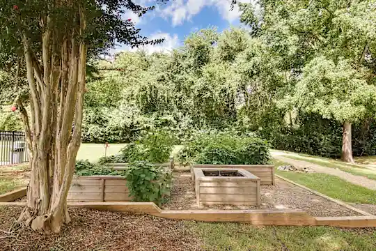 Aurora - Charlotte, NC - Photo 29