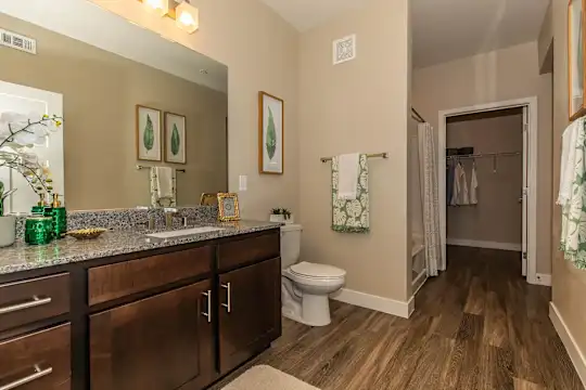 Level 25 at Cactus by Picerne - Las Vegas, NV - Photo 51