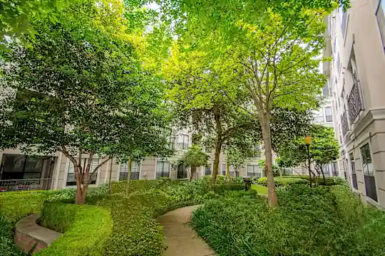 Renaissance at Preston Hollow - Dallas, TX - Photo 17