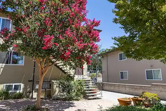 2080 Fruitdale Ave - San Jose, CA - Photo 12