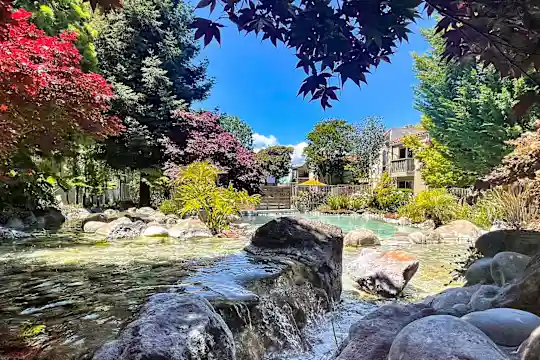 Spring Creek Apartments - Santa Clara, CA - Photo 10