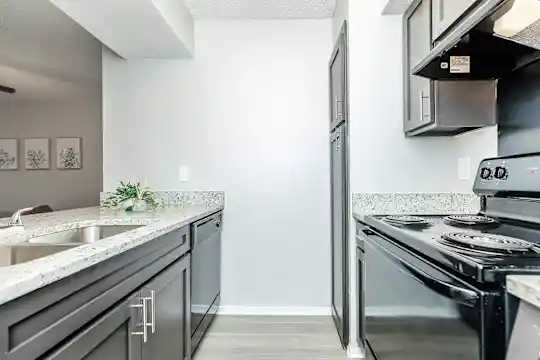 The Waverly Apartments - Dallas, TX - Photo 4