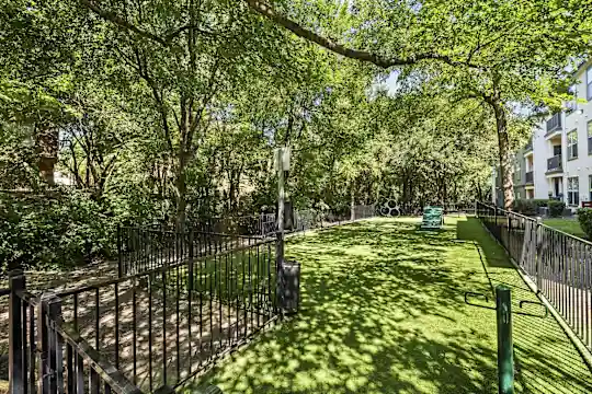 Trails of White Rock - Dallas, TX - Photo 22