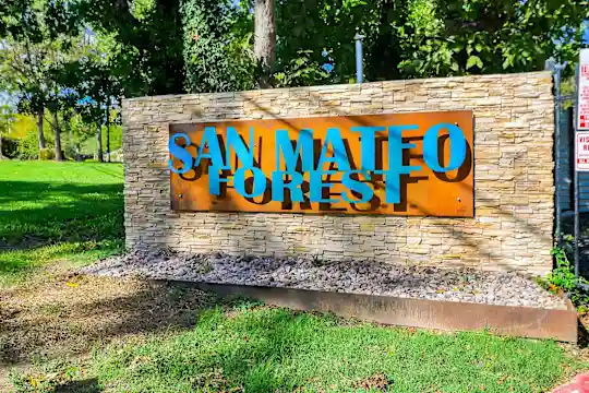 San Mateo Forest - Dallas, TX - Photo 32