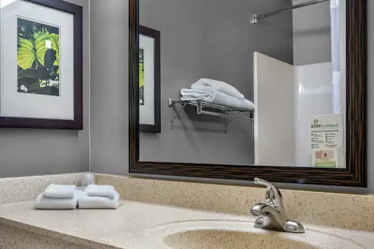 Furnished Studio - Memphis - Airport - Memphis, TN - Photo 40