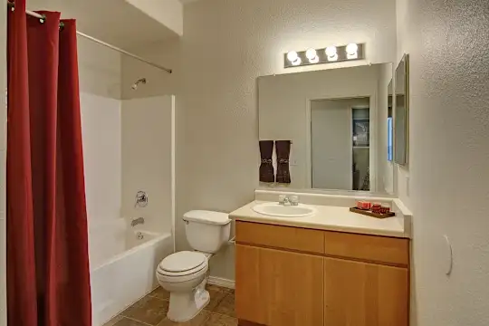 Arezzo - Phoenix, AZ - Photo 13