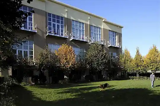 Museum Park - San Jose, CA - Photo 5