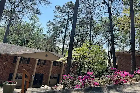 Summit View Apartments - Atlanta, GA - Photo 9