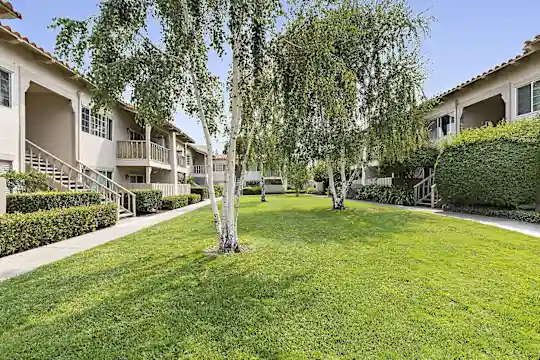 The Franciscan - Campbell, CA - Photo 6