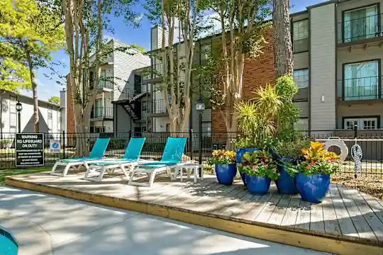 Driscoll Place - Houston, TX - Photo 20