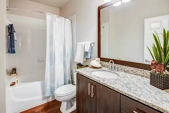 Nolina Flats - Austin, TX - Photo 14