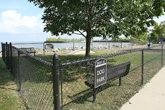 The Shoreline - Cleveland, OH - Photo 34