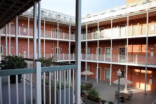 Aloysius Apartments - New Orleans, LA - Photo 13