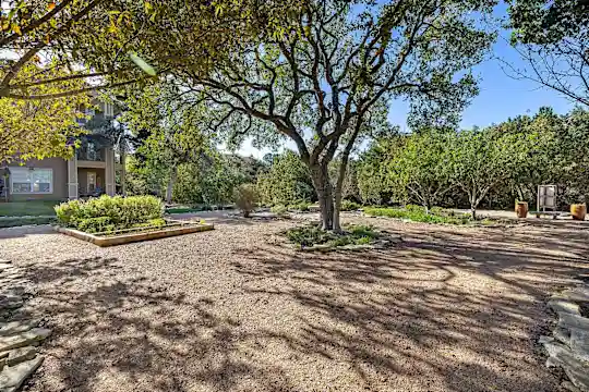 Sonterra Apartment Homes - Austin, TX - Photo 41