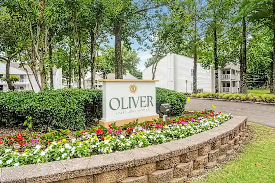 The Oliver Apartment Homes - Olive Branch, MS - Photo 16