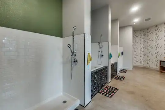 Lenox Dentwood - Dallas, TX - Photo 29