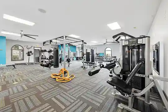 Forest Ridge Apartments - Knoxville, TN - Photo 23